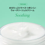 Anua 乳液/クリーム ドクダミ77 B3ZINC™ スージングクリーム 80ml AA001588