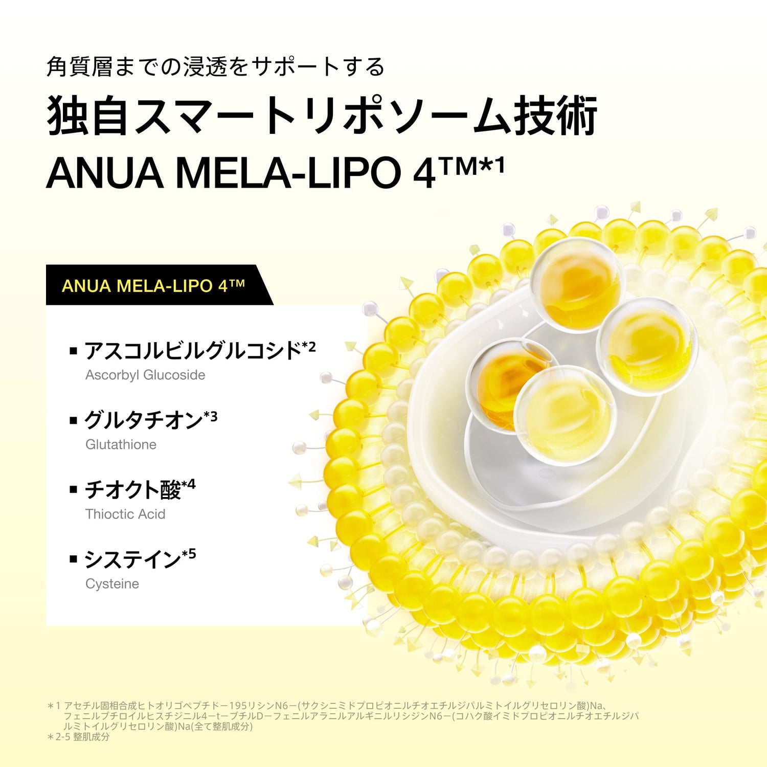 アヌア Anua 化粧水 ビタCグルタチオン カプセルミスト 100ml AA001932
