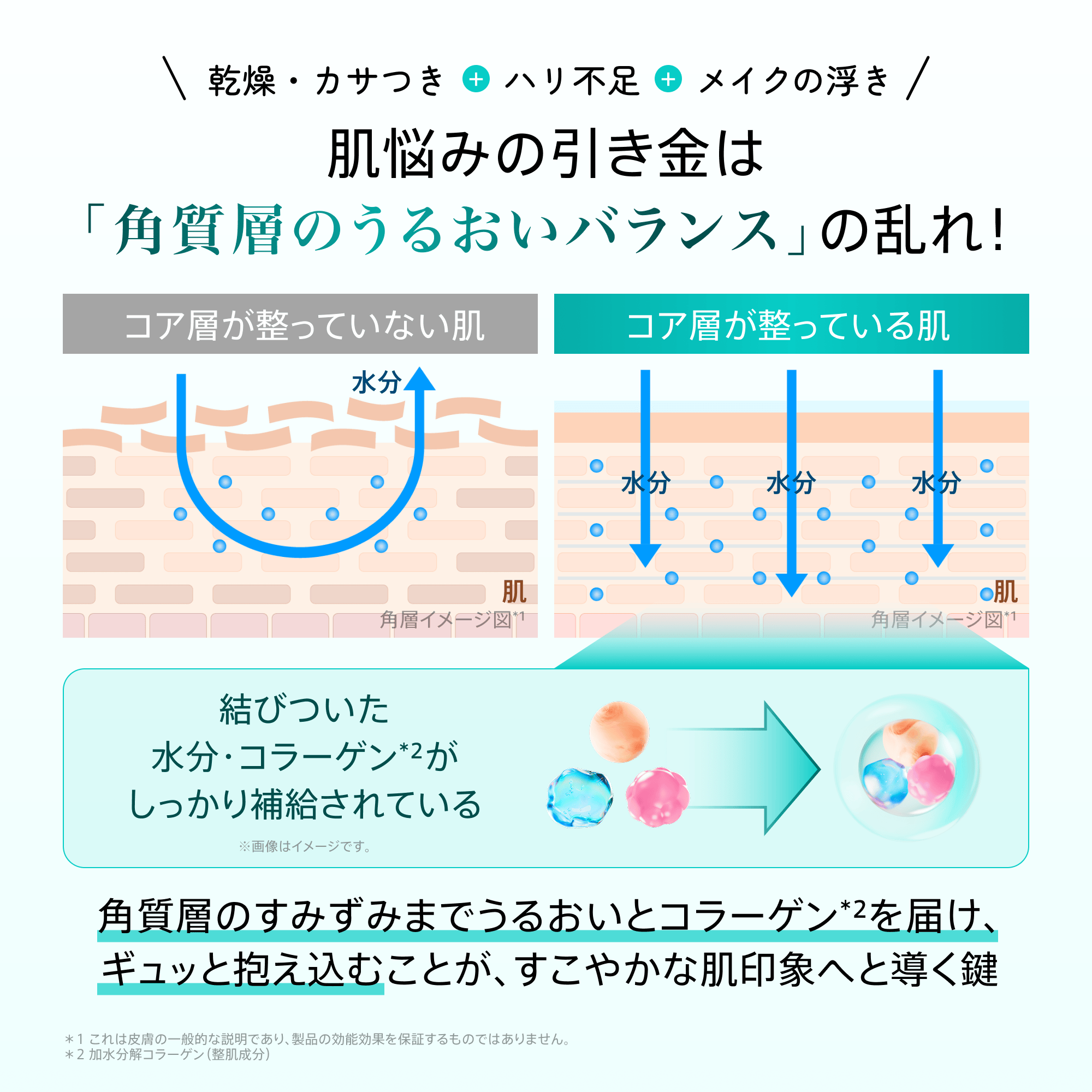 Anua 美容液 PDRNヒアルロン酸 カプセル100セラム (全2種)